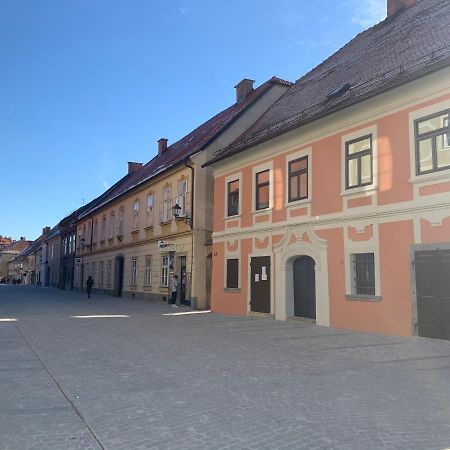 Bella Donna Daire Maribor Dış mekan fotoğraf
